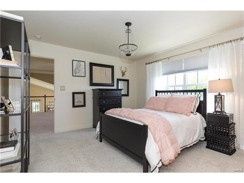 163 Timber Meadows Dr, O'fallon, MO 63368 photo 20