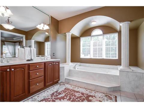 163 Timber Meadows Dr, O'fallon, MO 63368 photo 13