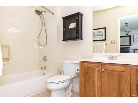 163 Timber Meadows Dr, O'fallon, MO 63368 photo 21