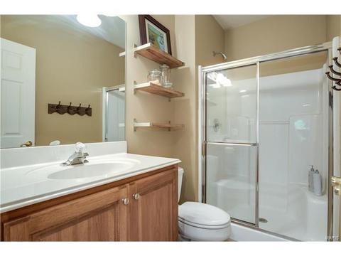 163 Timber Meadows Dr, O'fallon, MO 63368 photo 30