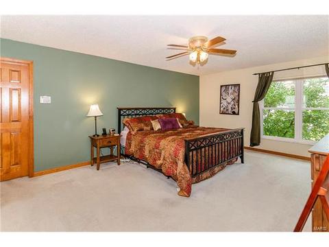 1825 Sapling Dr, O'fallon, MO 63366 photo 41