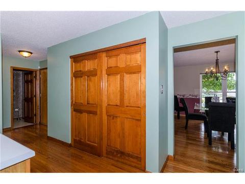 1825 Sapling Dr, O'fallon, MO 63366 photo 24