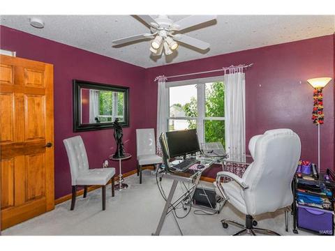 1825 Sapling Dr, O'fallon, MO 63366 photo 34