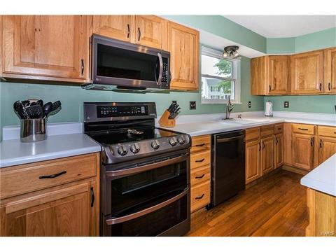 1825 Sapling Dr, O'fallon, MO 63366 photo 19