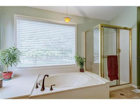 545 Red Rock Dr, Wildwood, MO 63011 photo 29