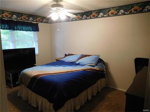 20 Muir, Eureka, MO 63025 photo 20
