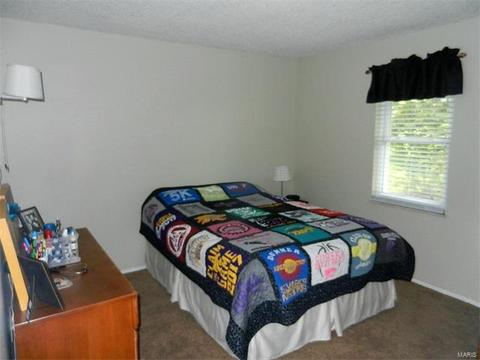 20 Muir, Eureka, MO 63025 photo 19