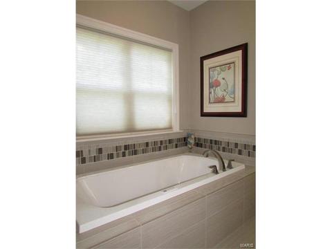 952 Barbara Ann Ln, Ellisville, MO 63021 photo 19