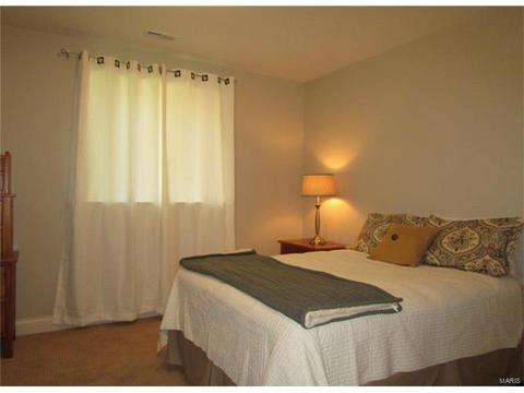 952 Barbara Ann Ln, Ellisville, MO 63021 photo 26