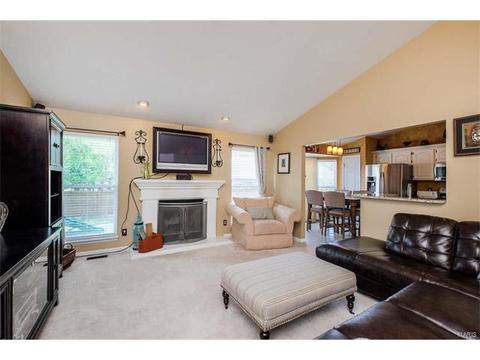 7324 Cinnamon Teal Dr, O'fallon, MO 63368 photo 10
