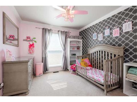 7324 Cinnamon Teal Dr, O'fallon, MO 63368 photo 27