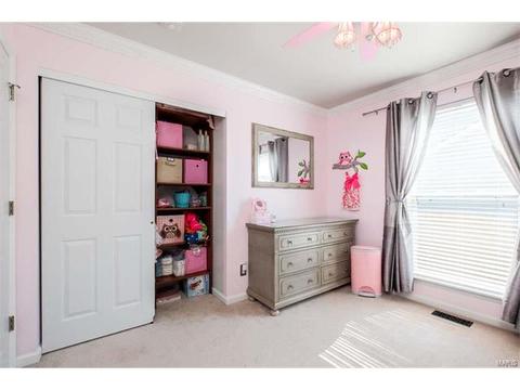 7324 Cinnamon Teal Dr, O'fallon, MO 63368 photo 28