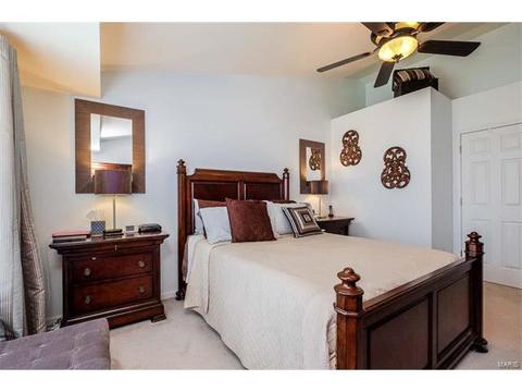 7324 Cinnamon Teal Dr, O'fallon, MO 63368 photo 19
