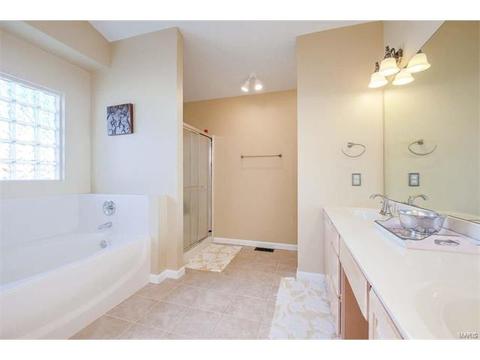 7324 Cinnamon Teal Dr, O'fallon, MO 63368 photo 21