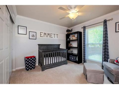 7324 Cinnamon Teal Dr, O'fallon, MO 63368 photo 23