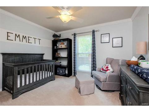 7324 Cinnamon Teal Dr, O'fallon, MO 63368 photo 24