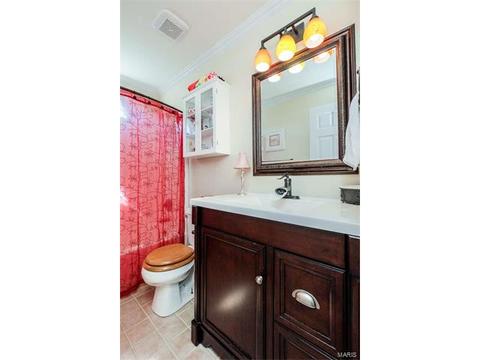 7324 Cinnamon Teal Dr, O'fallon, MO 63368 photo 26