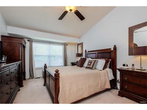 7324 Cinnamon Teal Dr, O'fallon, MO 63368 photo 5