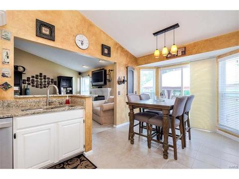 7324 Cinnamon Teal Dr, O'fallon, MO 63368 photo 14