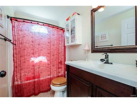 7324 Cinnamon Teal Dr, O'fallon, MO 63368 photo 25