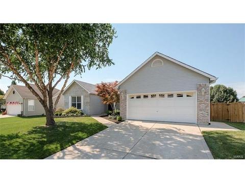 7324 Cinnamon Teal Dr, O'fallon, MO 63368 photo 37