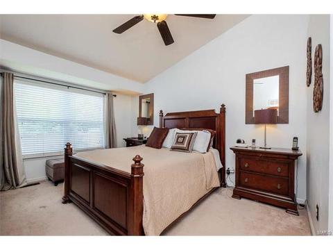 7324 Cinnamon Teal Dr, O'fallon, MO 63368 photo 18
