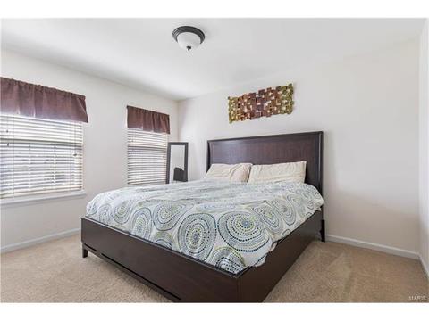 211 Roxbury Dr, O'fallon, MO 63366 photo 19