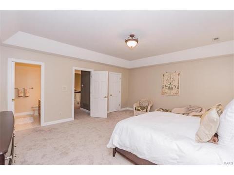 2228 Devonsbrook Dr, Chesterfield, MO 63005 photo 36