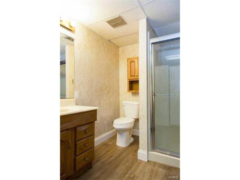 6 Mandalay, Ballwin, MO 63021 photo 26