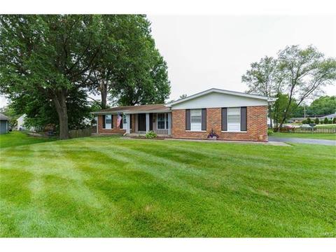 436 Fanning Ave, O'fallon, MO 63366 photo 26
