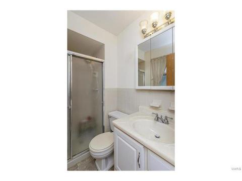 436 Fanning Ave, O'fallon, MO 63366 photo 19