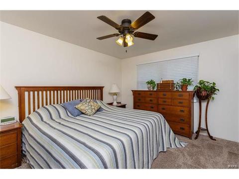 436 Fanning Ave, O'fallon, MO 63366 photo 18