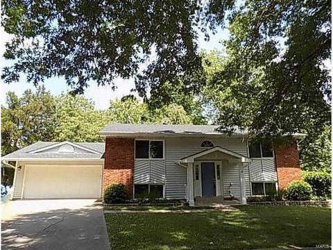 2 Braquewood Ct, Manchester, MO 63021 photo 1