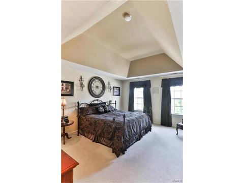 302 Wild Oak Dr, O'fallon, MO 63368 photo 29