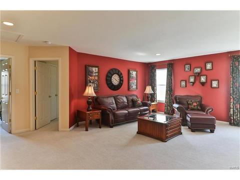 302 Wild Oak Dr, O'fallon, MO 63368 photo 35
