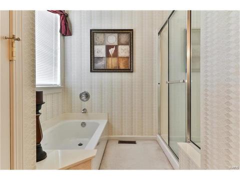 302 Wild Oak Dr, O'fallon, MO 63368 photo 31