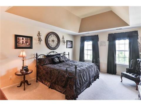 302 Wild Oak Dr, O'fallon, MO 63368 photo 28