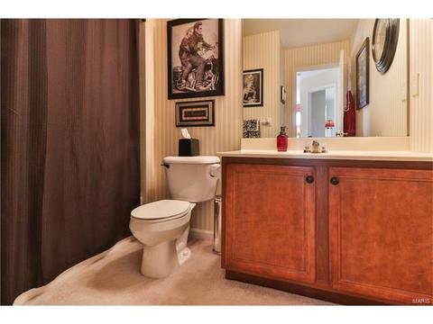 302 Wild Oak Dr, O'fallon, MO 63368 photo 39