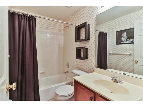302 Wild Oak Dr, O'fallon, MO 63368 photo 42