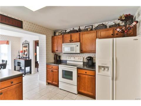 302 Wild Oak Dr, O'fallon, MO 63368 photo 23