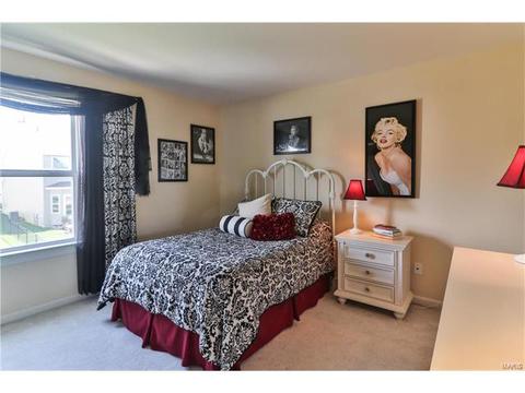 302 Wild Oak Dr, O'fallon, MO 63368 photo 37