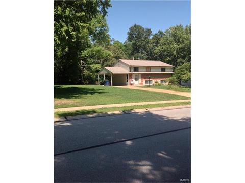1263 Vero Ln, Ellisville, MO 63011 photo 20