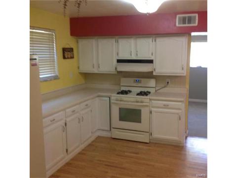 1263 Vero Ln, Ellisville, MO 63011 photo 4
