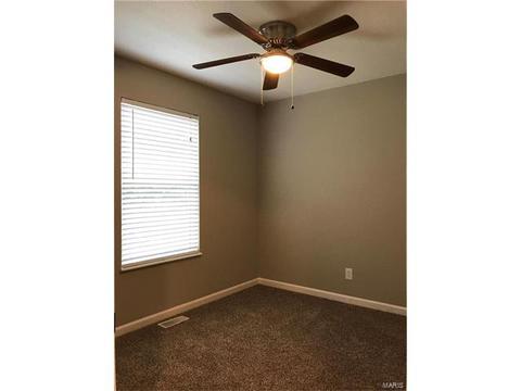 201 Geranium Dr, O'fallon, MO 63366 photo 31