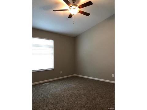 201 Geranium Dr, O'fallon, MO 63366 photo 27