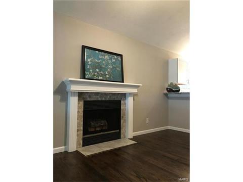 201 Geranium Dr, O'fallon, MO 63366 photo 18