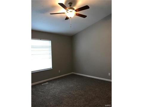 201 Geranium Dr, O'fallon, MO 63366 photo 28