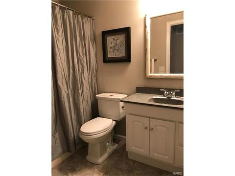 201 Geranium Dr, O'fallon, MO 63366 photo 6