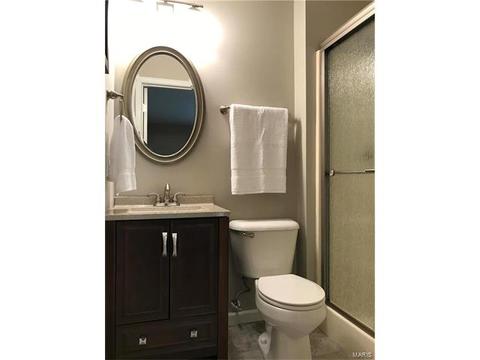 201 Geranium Dr, O'fallon, MO 63366 photo 29