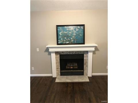 201 Geranium Dr, O'fallon, MO 63366 photo 13